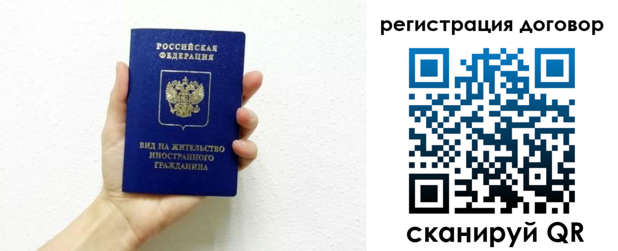 прописка поиск в Щёлково